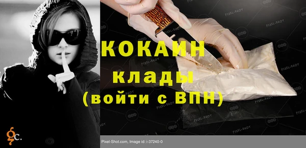 мдпв Дмитриев