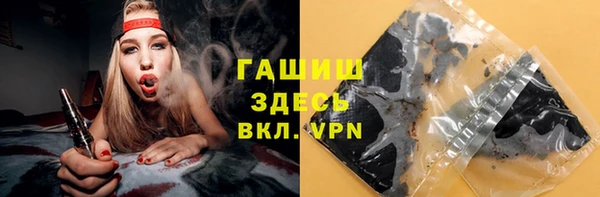 мдпв Дмитриев