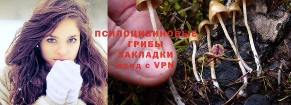 дурь Дмитровск