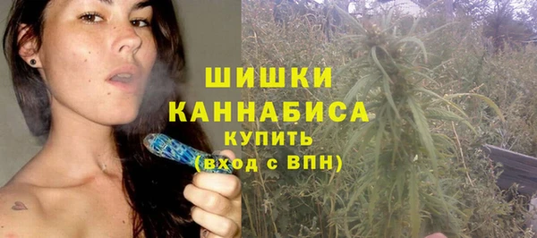 мдпв Дмитриев