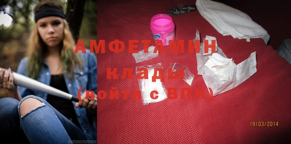 мдпв Дмитриев