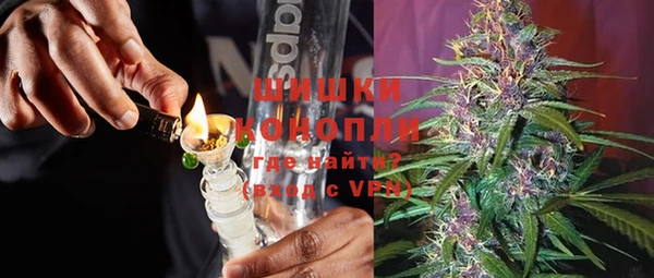 мдпв Дмитриев