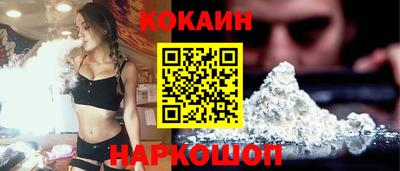 гашик Камышлов