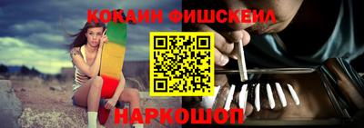 гашик Камышлов