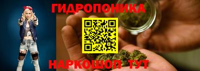 МДПВ Канаш