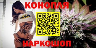 гашик Камышлов